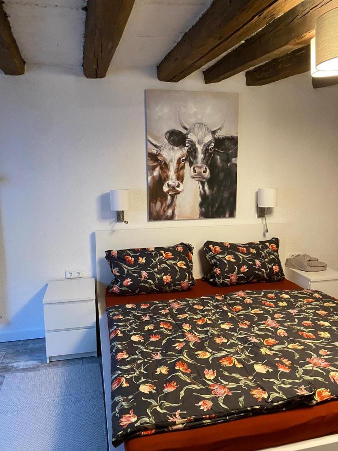 Schoene Ferienwohnung Gewoelbekeller Fachwerkhaus バッハラッハ エクステリア 写真